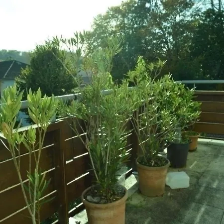 Goxoki Etxea Apartment